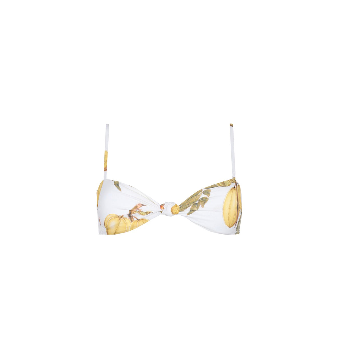 Bandeau Top Fruits De Lest 2 – Aguaclara
