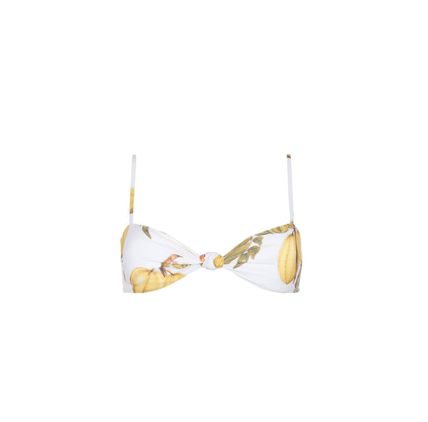 Bandeau Top Fruits De Lest 2 – Aguaclara