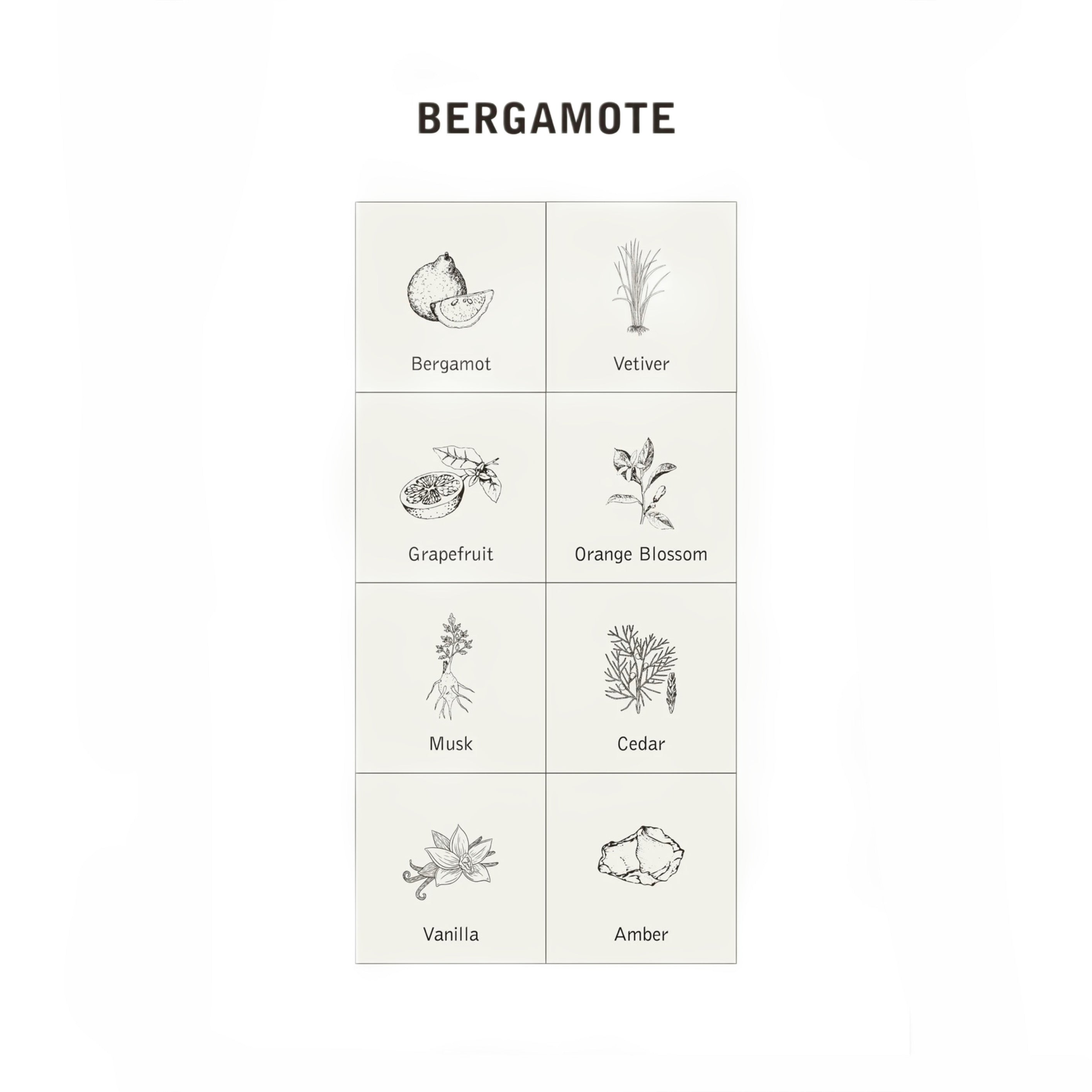 Bergamote