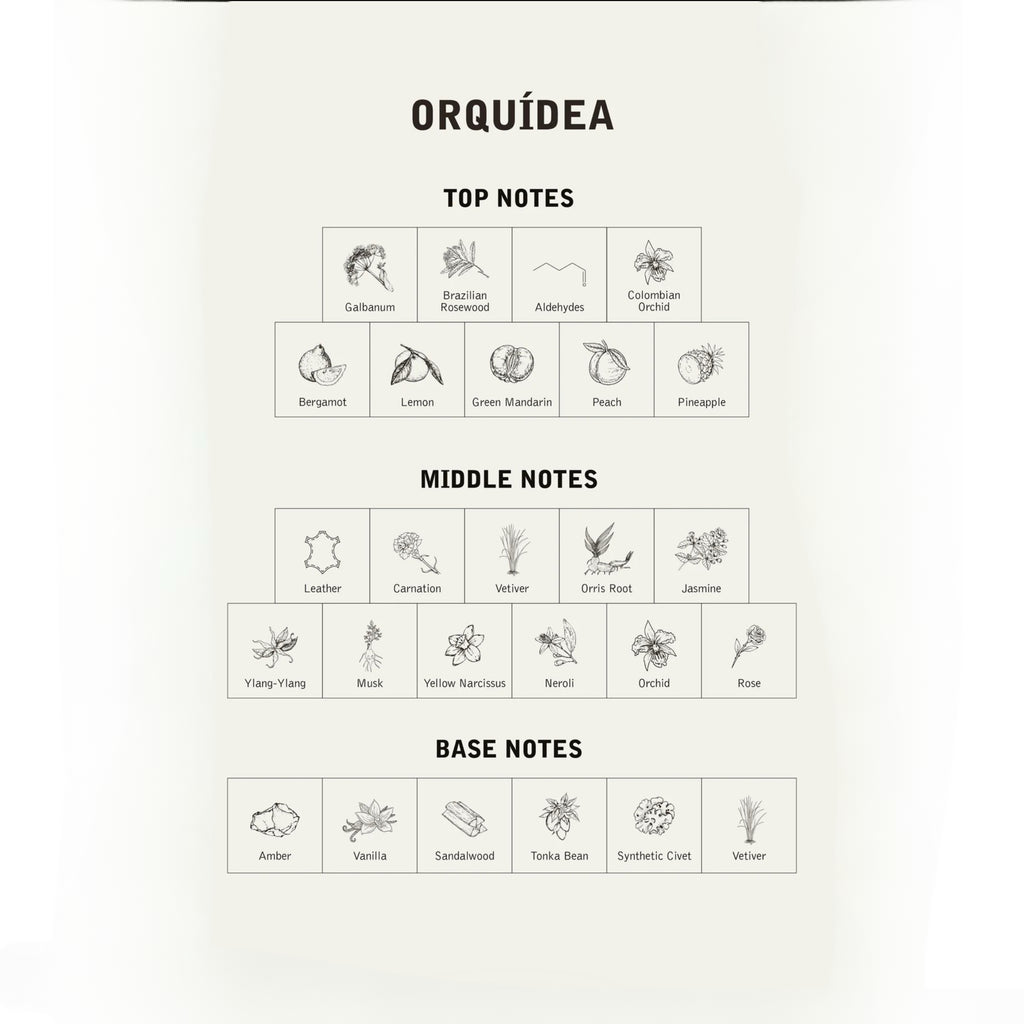 Orquídea
