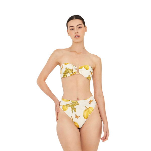 Bandeau Top Fruits De Lest – Aguaclara