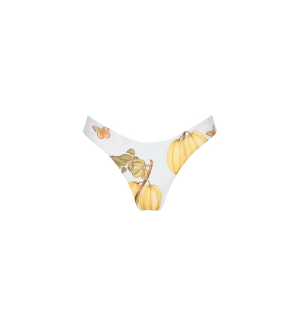 High Leg Bottom Fruits De Lest 23 – Aguaclara