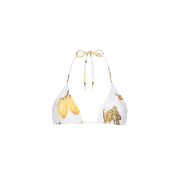 Triangle Top Fruits De Lest 50 – Aguaclara